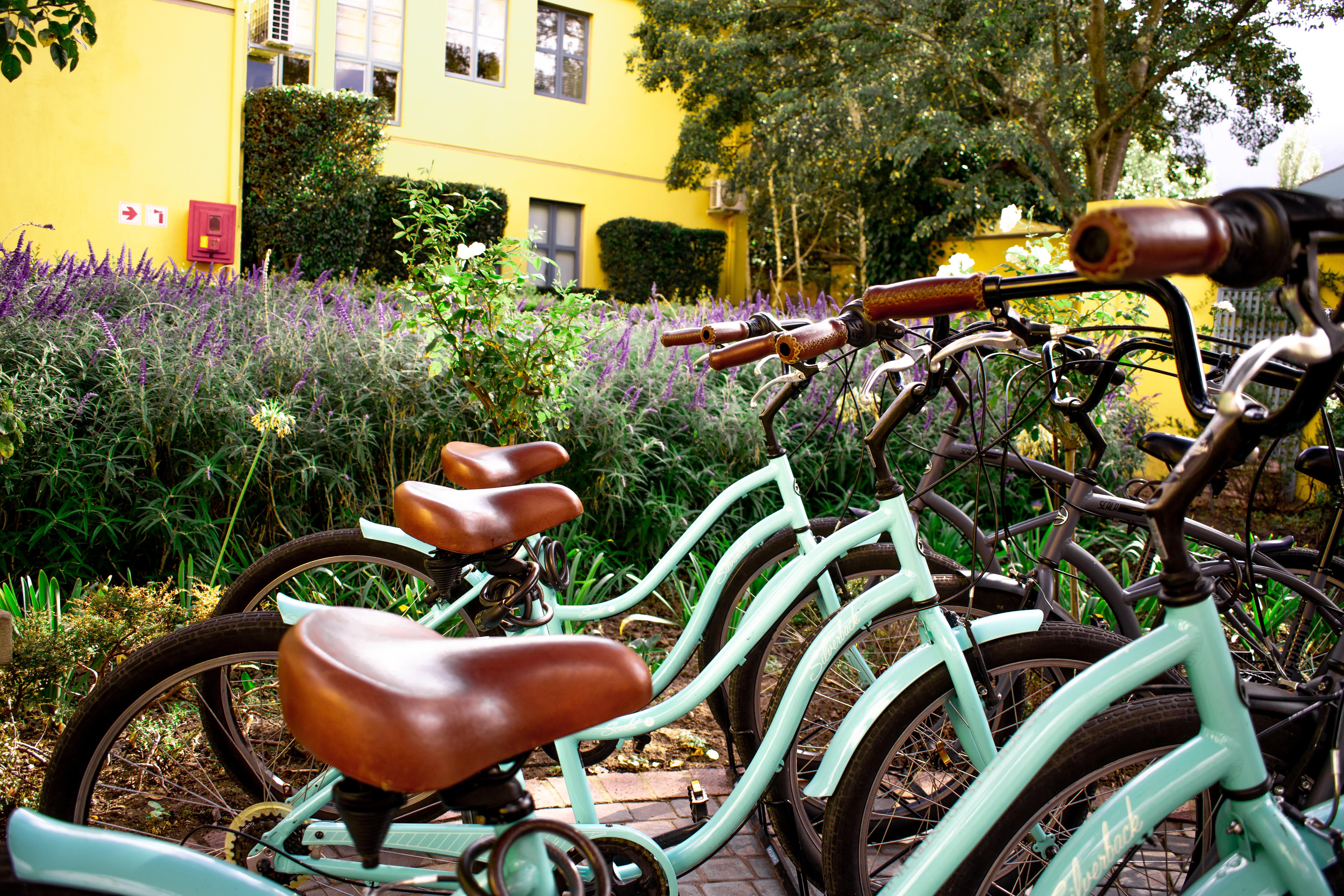 Franschhoek Country House & Villas מראה חיצוני תמונה