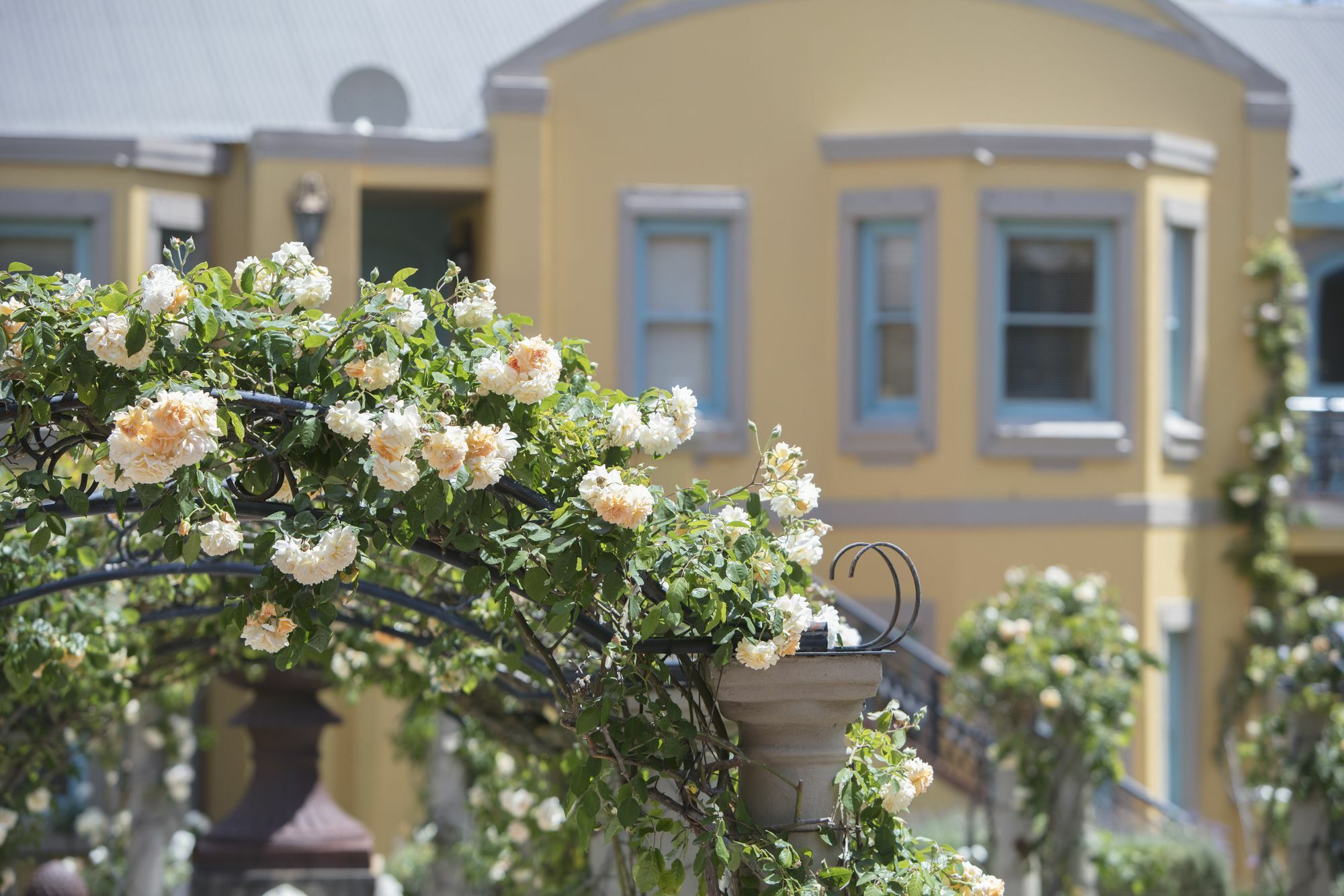 Franschhoek Country House & Villas מראה חיצוני תמונה