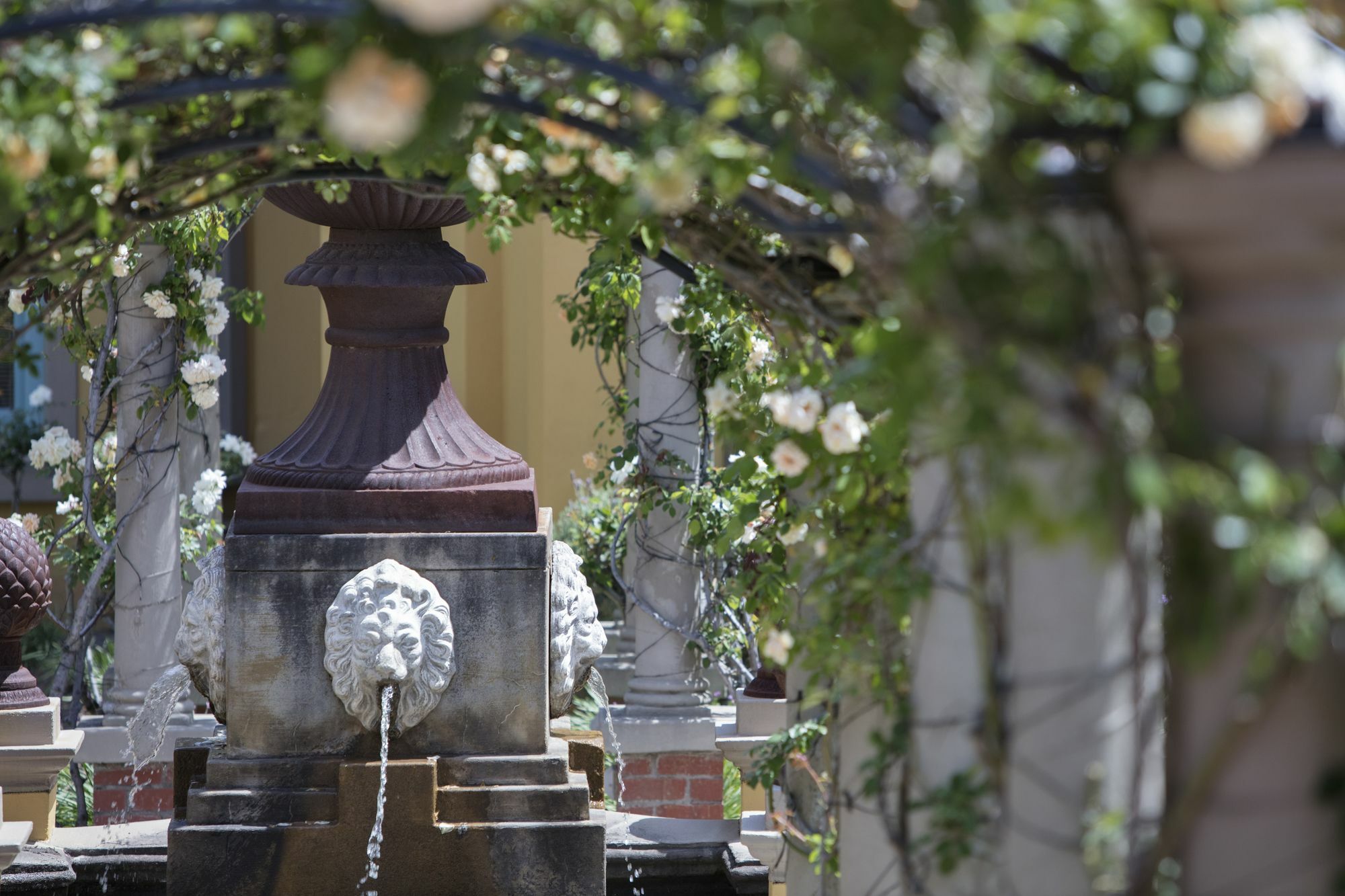 Franschhoek Country House & Villas מראה חיצוני תמונה