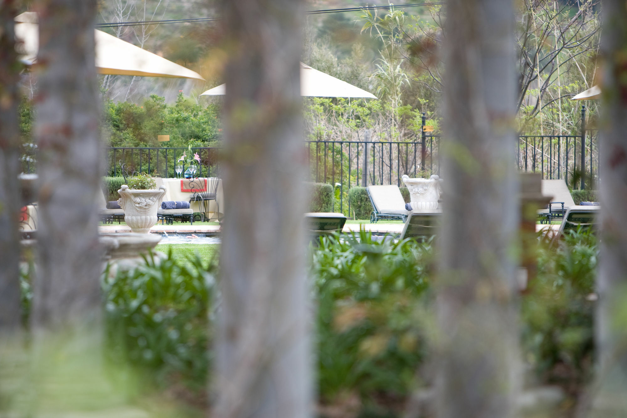Franschhoek Country House & Villas מראה חיצוני תמונה